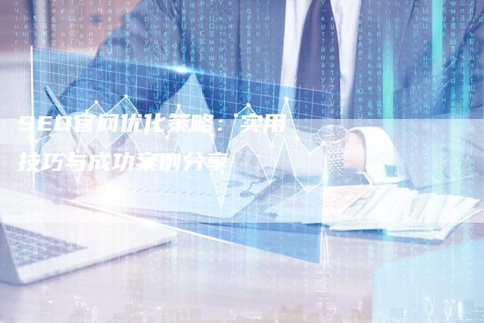 SEO官网优化策略：实用技巧与成功案例分享