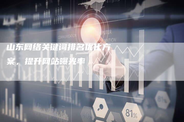 山东网络关键词排名优化方案，提升网站曝光率-网站排名优化网