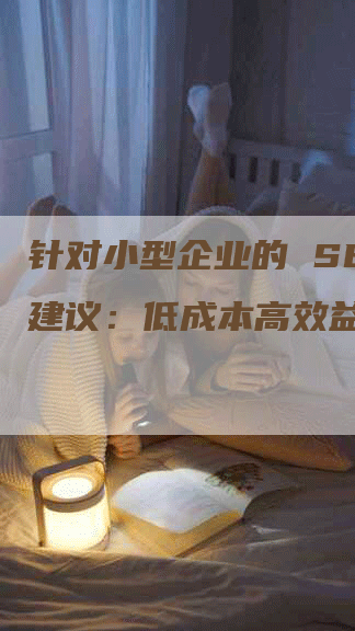 针对小型企业的 SEO 建议：低成本高效益的策略-网站排名优化网