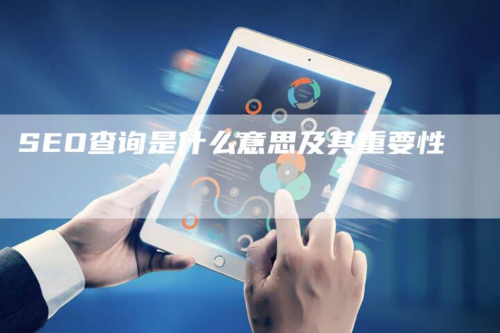 SEO查询是什么意思及其重要性-网站排名优化网