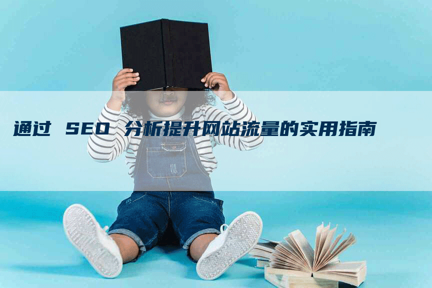 通过 SEO 分析提升网站流量的实用指南-网站排名优化网