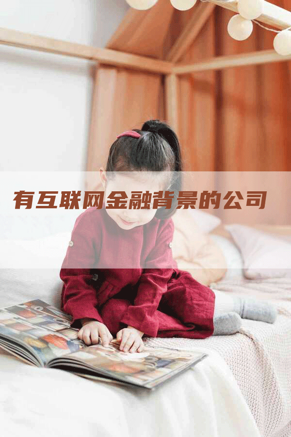 有互联网金融背景的公司
