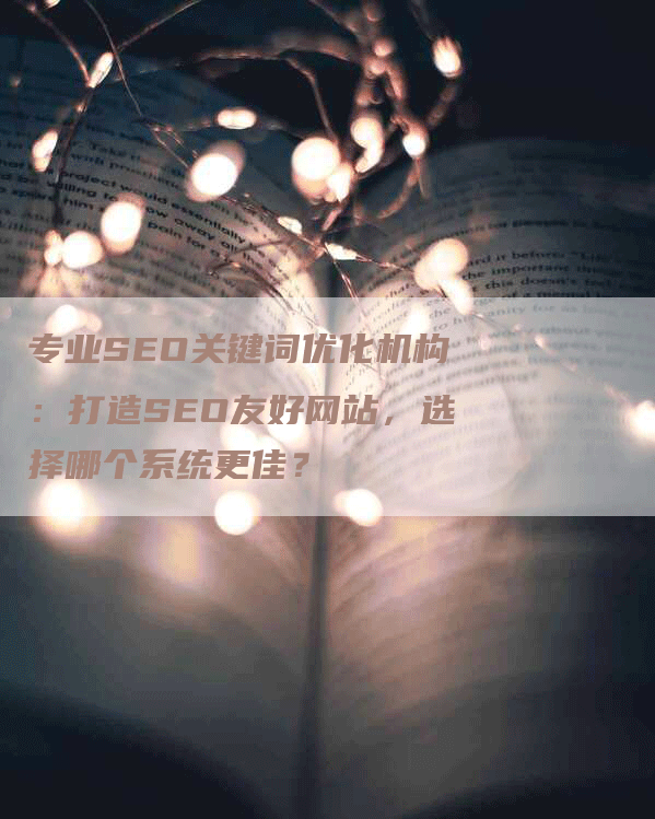 专业SEO关键词优化机构：打造SEO友好网站，选择哪个系统更佳？