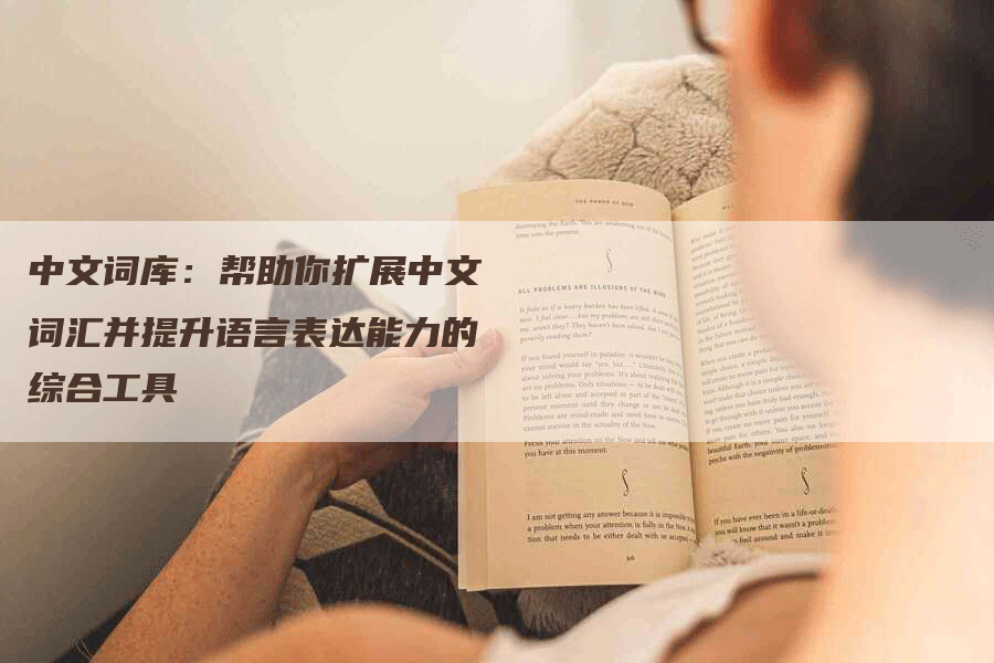 中文词库：帮助你扩展中文词汇并提升语言表达能力的综合工具-网站排名优化网