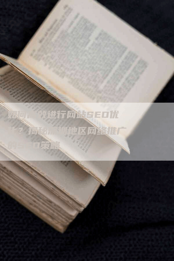 如何高效进行网站SEO优化？揭秘深圳地区网络推广的SEO策略-网站排名优化网