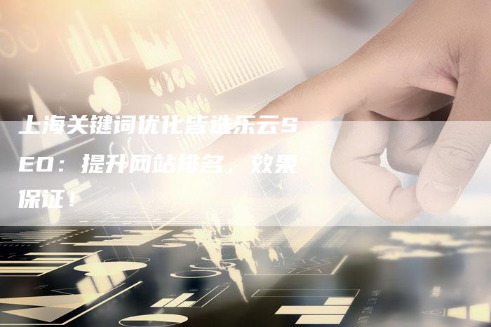 上海关键词优化皆选乐云SEO：提升网站排名，效果保证！