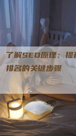 了解SEO原理：提升网页排名的关键步骤-网站排名优化网