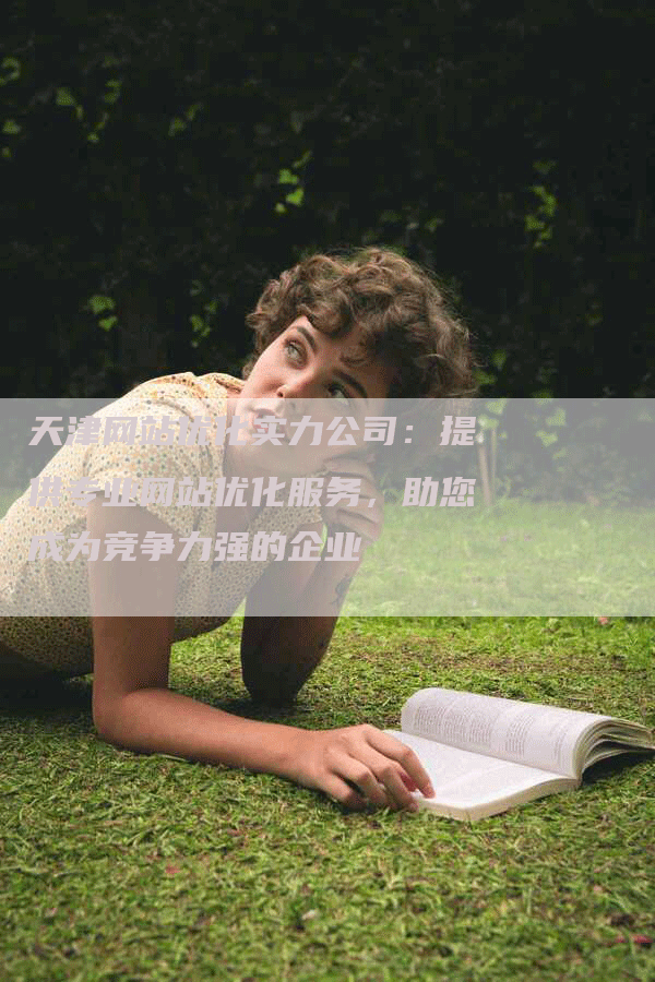 天津网站优化实力公司：提供专业网站优化服务，助您成为竞争力强的企业