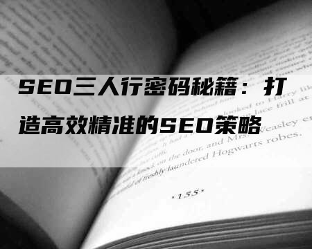 SEO三人行密码秘籍：打造高效精准的SEO策略-网站排名优化网
