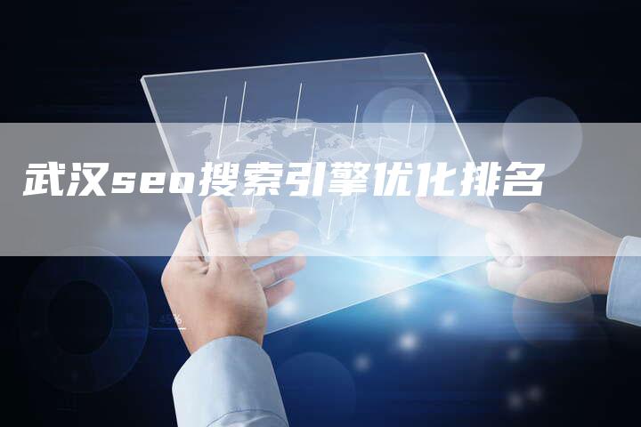 武汉seo搜索引擎优化排名-网站排名优化网