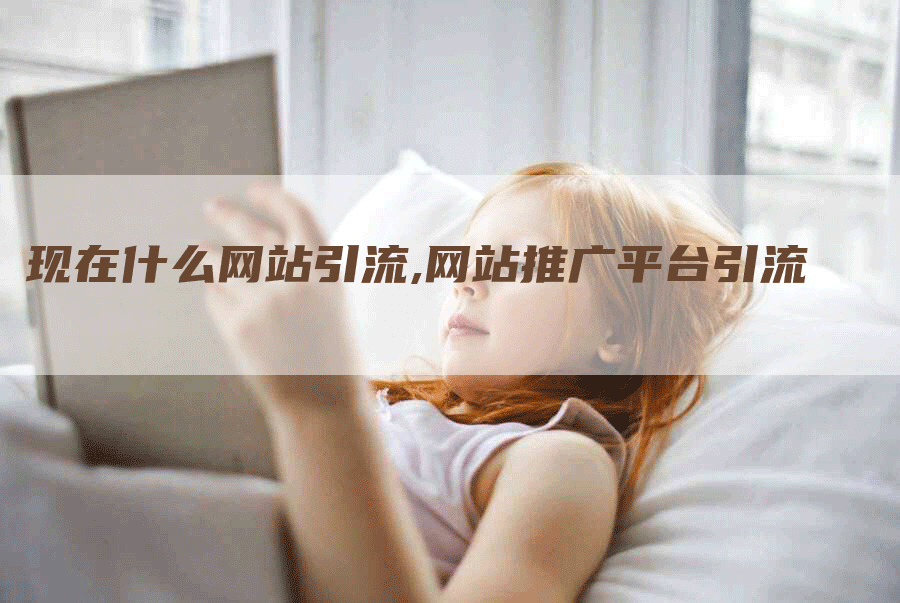 现在什么网站引流,网站推广平台引流