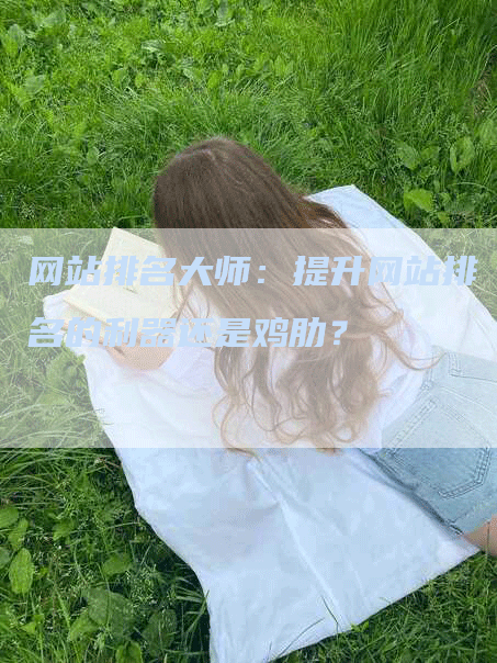 网站排名大师：提升网站排名的利器还是鸡肋？