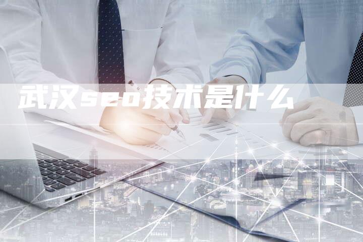 武汉seo技术是什么-网站排名优化网