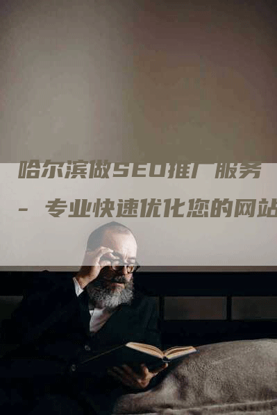 哈尔滨做SEO推广服务 - 专业快速优化您的网站-网站排名优化网