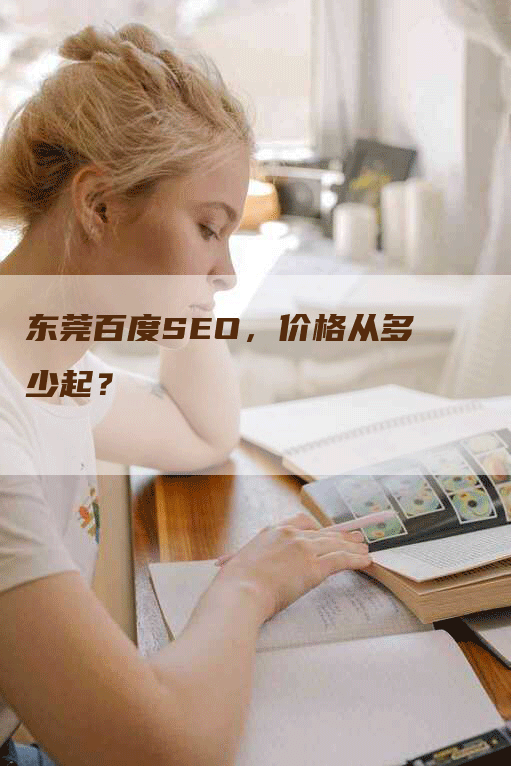 东莞百度SEO，价格从多少起？