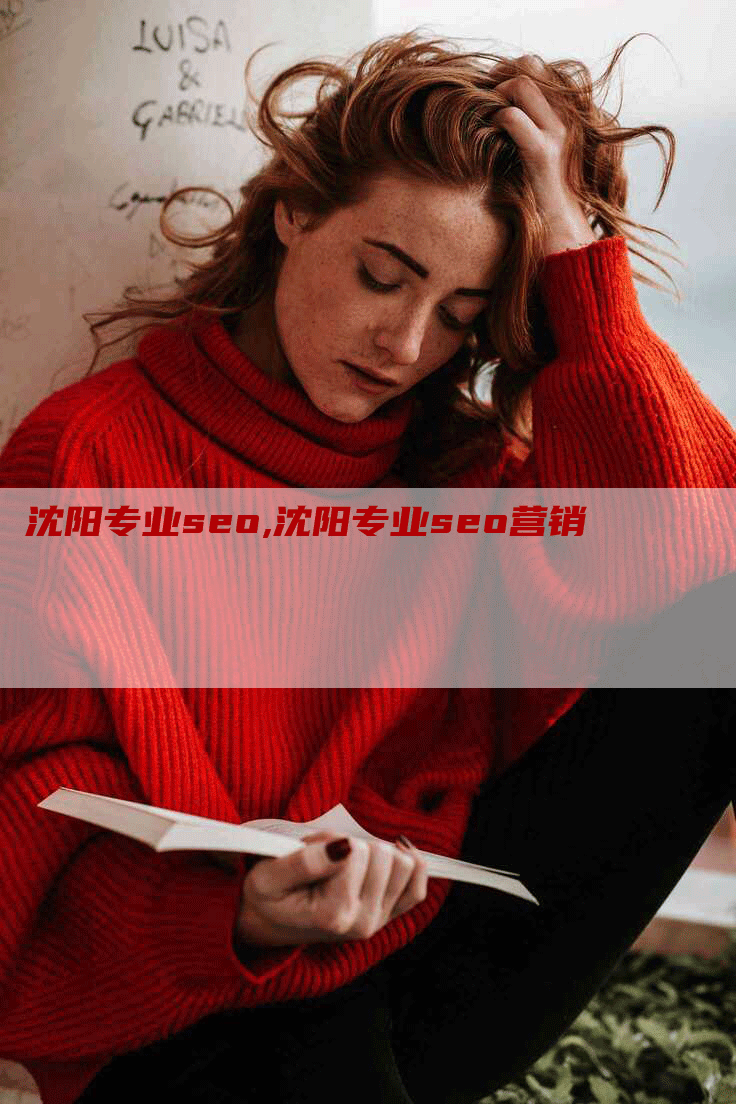 沈阳专业seo,沈阳专业seo营销-网站排名优化网