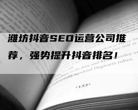 潍坊抖音SEO运营公司推荐，强势提升抖音排名！-网站排名优化网