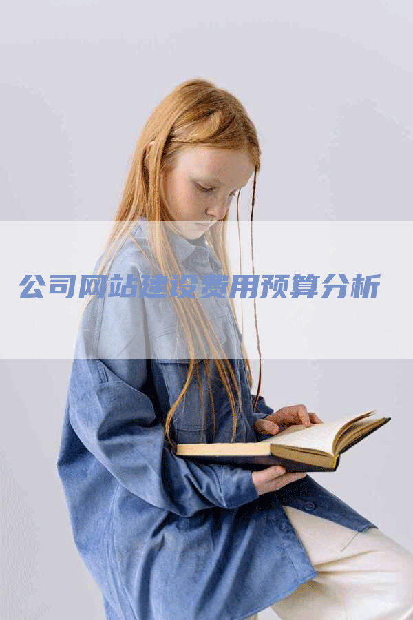 公司网站建设费用预算分析
