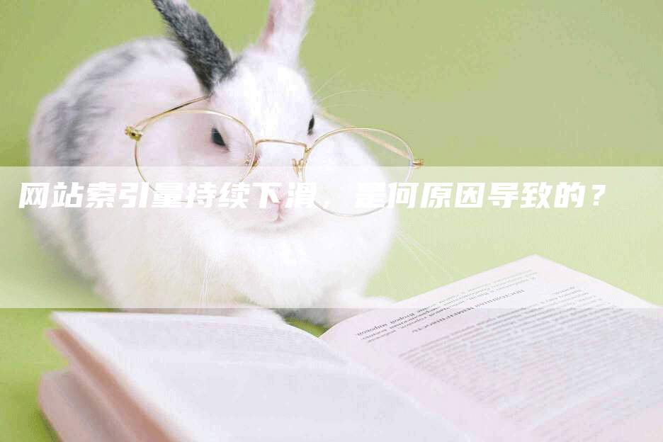 网站索引量持续下滑，是何原因导致的？-网站排名优化网