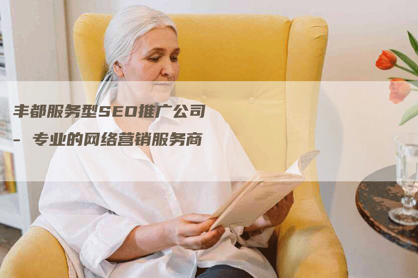 丰都服务型SEO推广公司- 专业的网络营销服务商