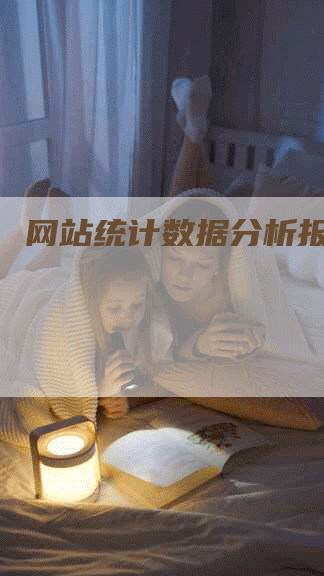 网站统计数据分析报告