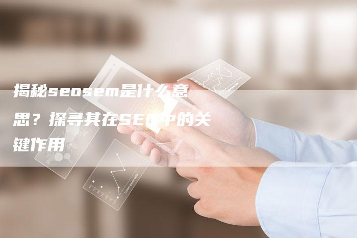揭秘seosem是什么意思？探寻其在SEO中的关键作用