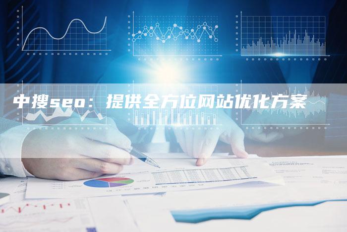 中搜seo：提供全方位网站优化方案-网站排名优化网