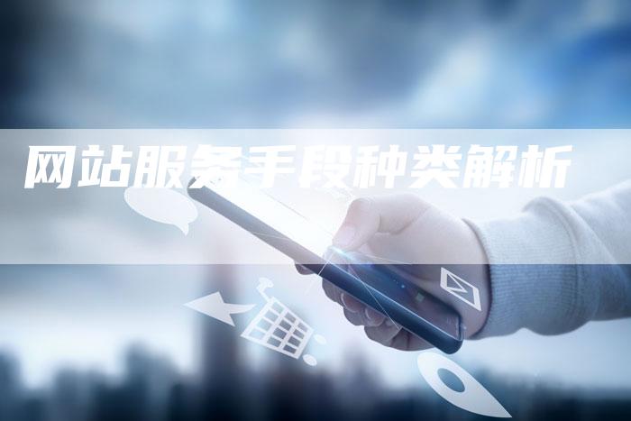 网站服务手段种类解析-网站排名优化网