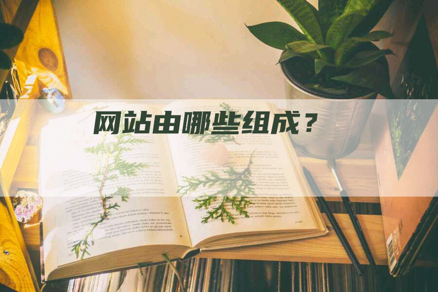 网站由哪些组成？