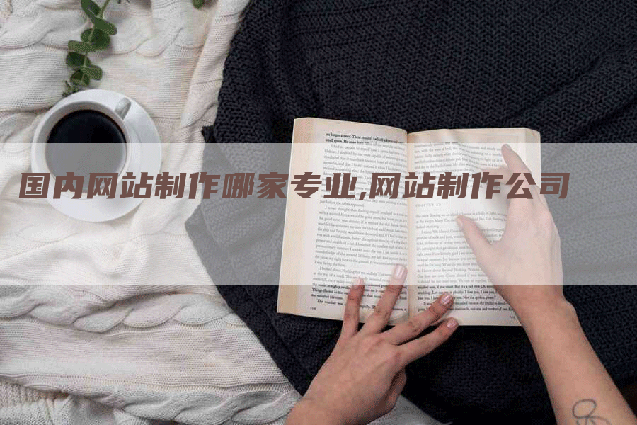 国内网站制作哪家专业,网站制作公司