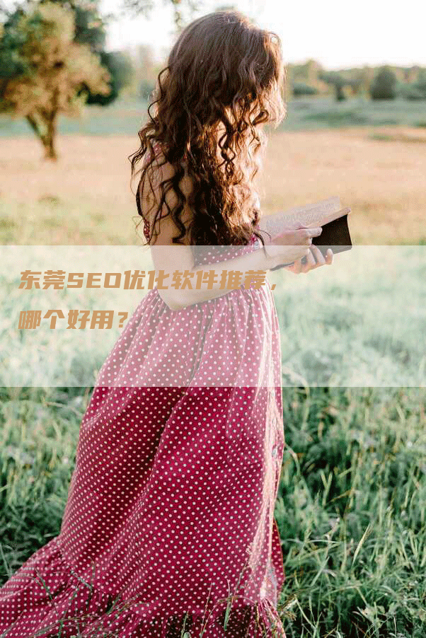 东莞SEO优化软件推荐，哪个好用？