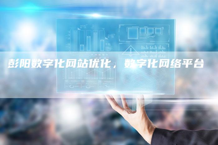 彭阳数字化网站优化，数字化网络平台