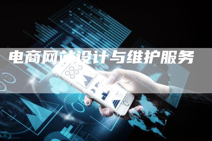 电商网站设计与维护服务