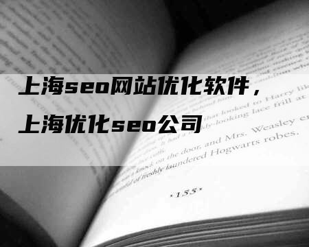 上海seo网站优化软件，上海优化seo公司