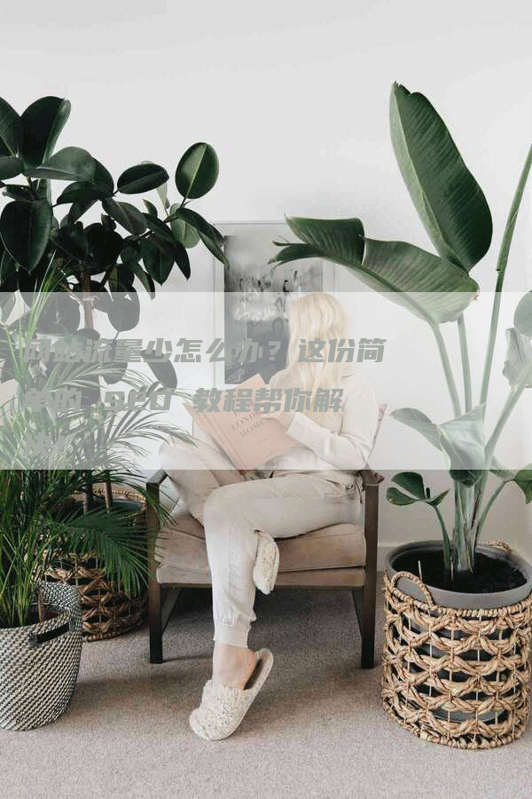 网站流量少怎么办？这份简单的 SEO 教程帮你解决！-网站排名优化网