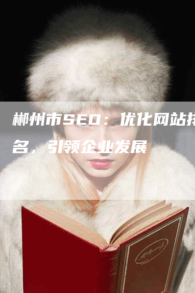 郴州市SEO：优化网站排名，引领企业发展