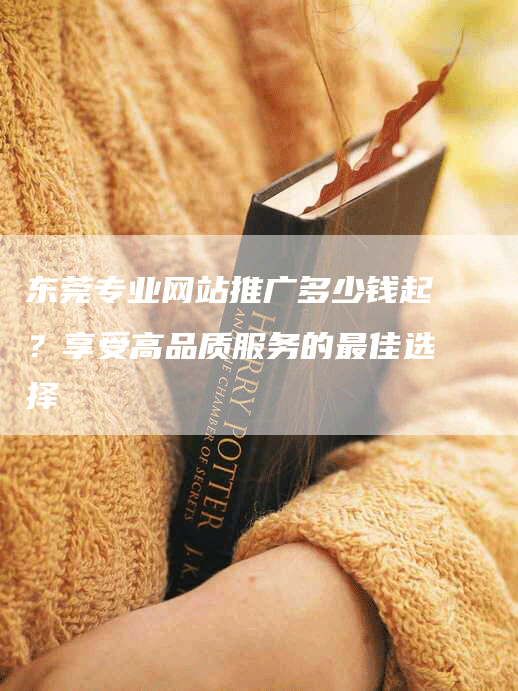 东莞专业网站推广多少钱起？享受高品质服务的最佳选择-网站排名优化网