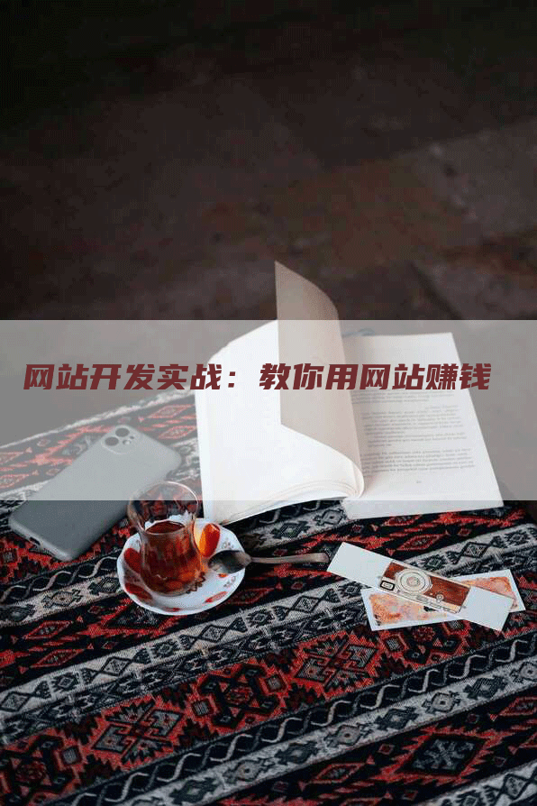 网站开发实战：教你用网站赚钱-网站排名优化网
