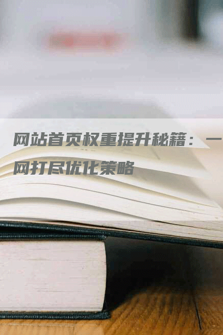 网站首页权重提升秘籍：一网打尽优化策略-网站排名优化网
