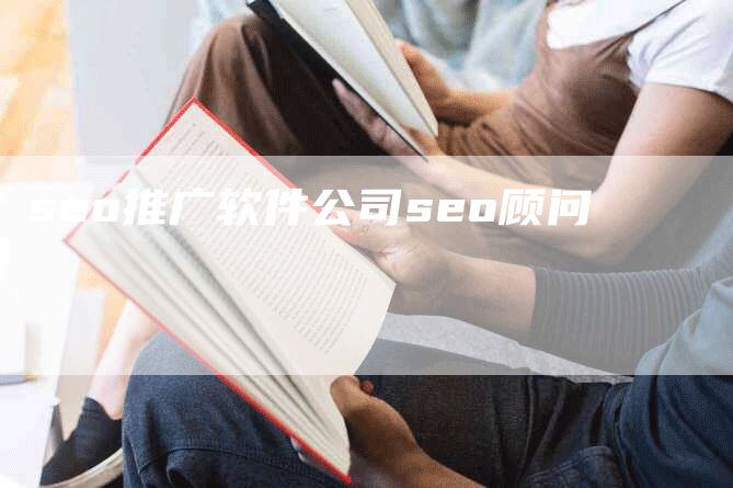 seo推广软件公司seo顾问