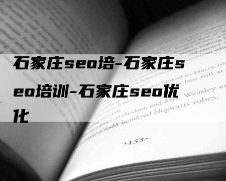 石家庄seo培-石家庄seo培训-石家庄seo优化