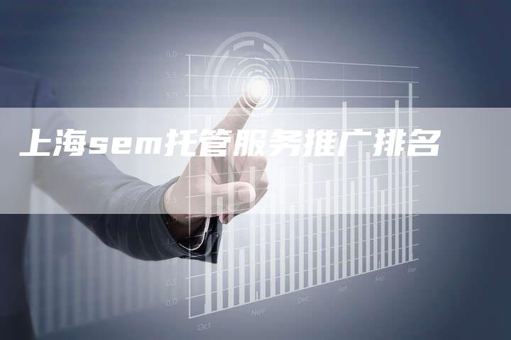 上海sem托管服务推广排名-网站排名优化网