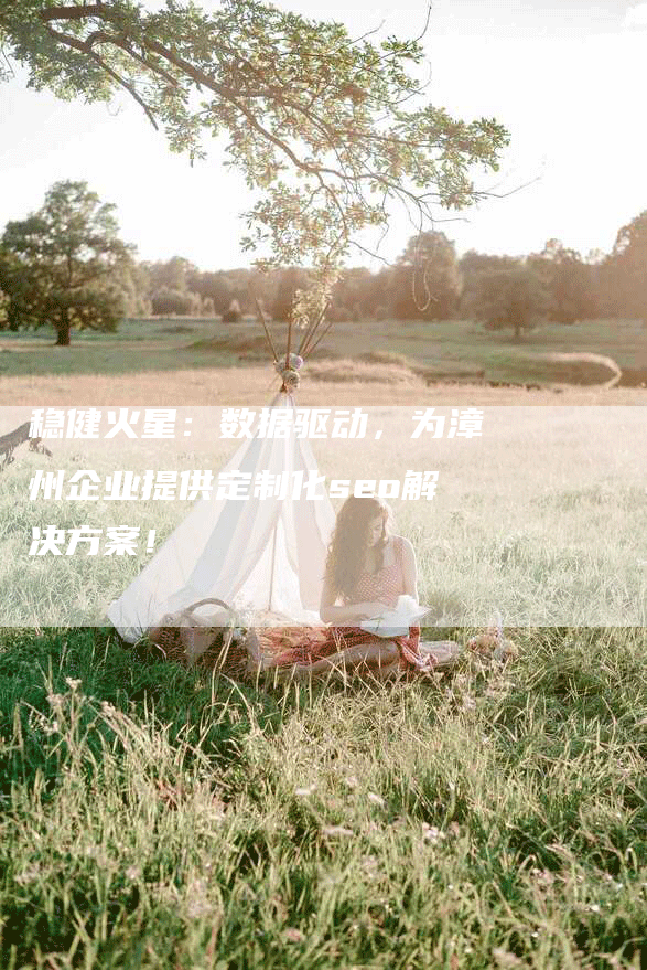 稳健火星：数据驱动，为漳州企业提供定制化seo解决方案！-网站排名优化网