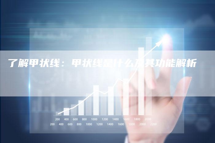 了解甲状线：甲状线是什么及其功能解析