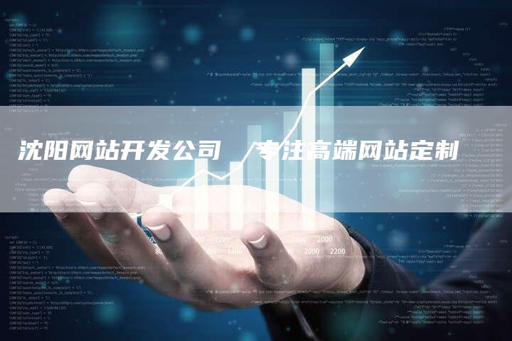 沈阳网站开发公司  专注高端网站定制-网站排名优化网