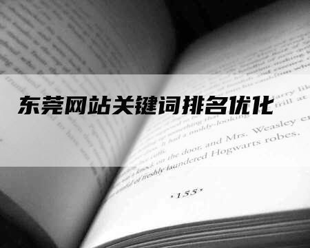 东莞网站关键词排名优化-网站排名优化网