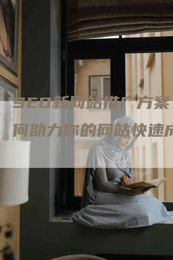 SEO新网站推广方案：如何助力你的网站快速成长？
