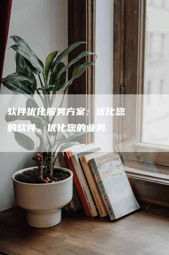 软件优化服务方案：优化您的软件，优化您的业务-网站排名优化网