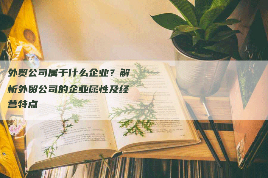 外贸公司属于什么企业？解析外贸公司的企业属性及经营特点-网站排名优化网