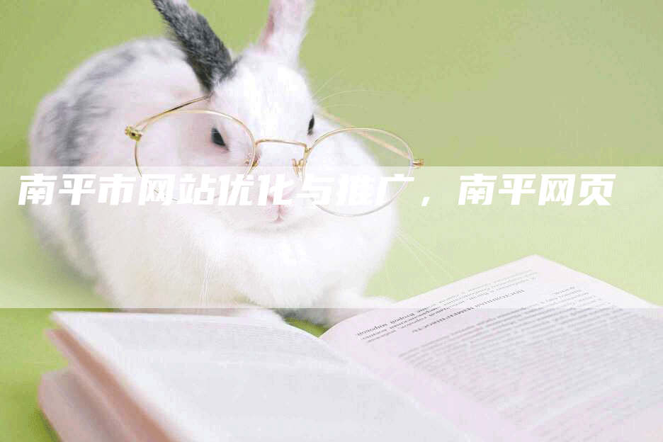 南平市网站优化与推广，南平网页